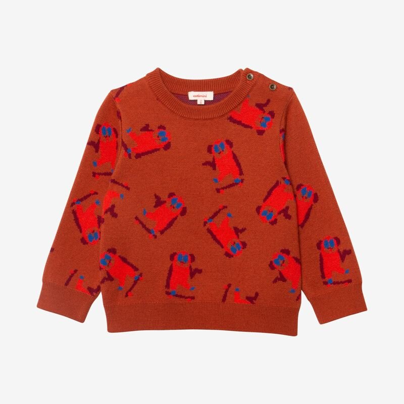 Pull bébé garçon jacquard skate Catimini Aucune nuance