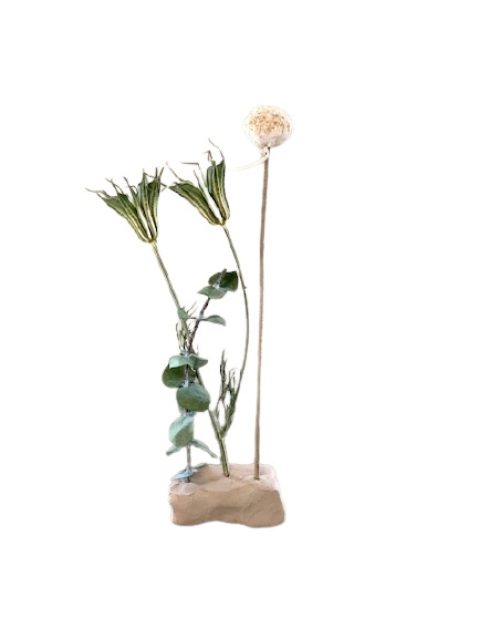 Droogbloem in klei M natural green