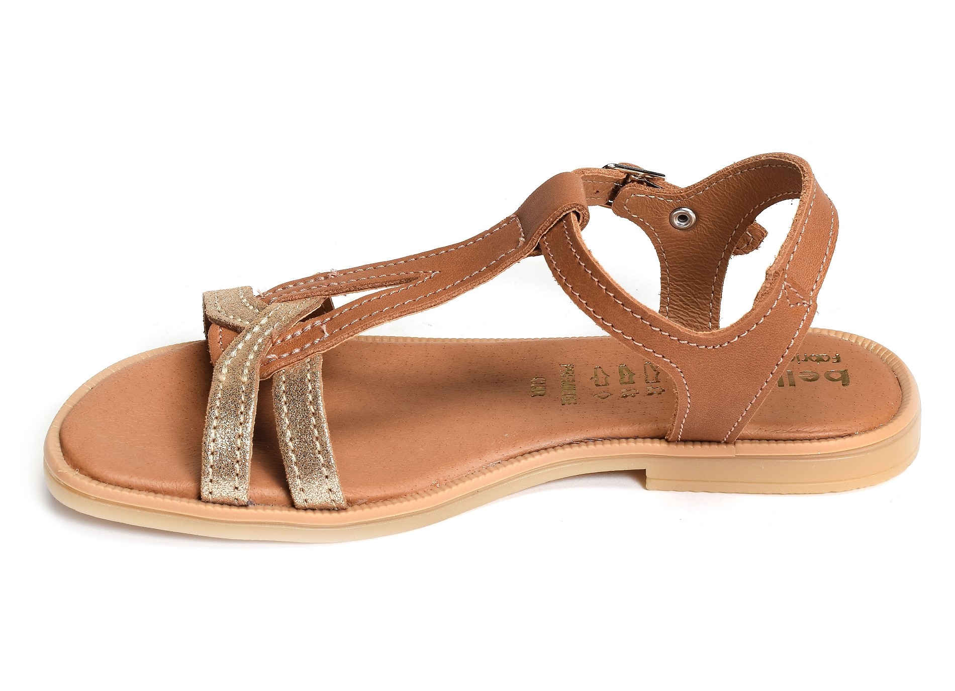 Jilou camel