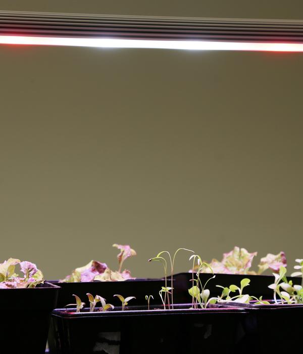 Venso LED-Anzuchtlampe GrowLight Duo