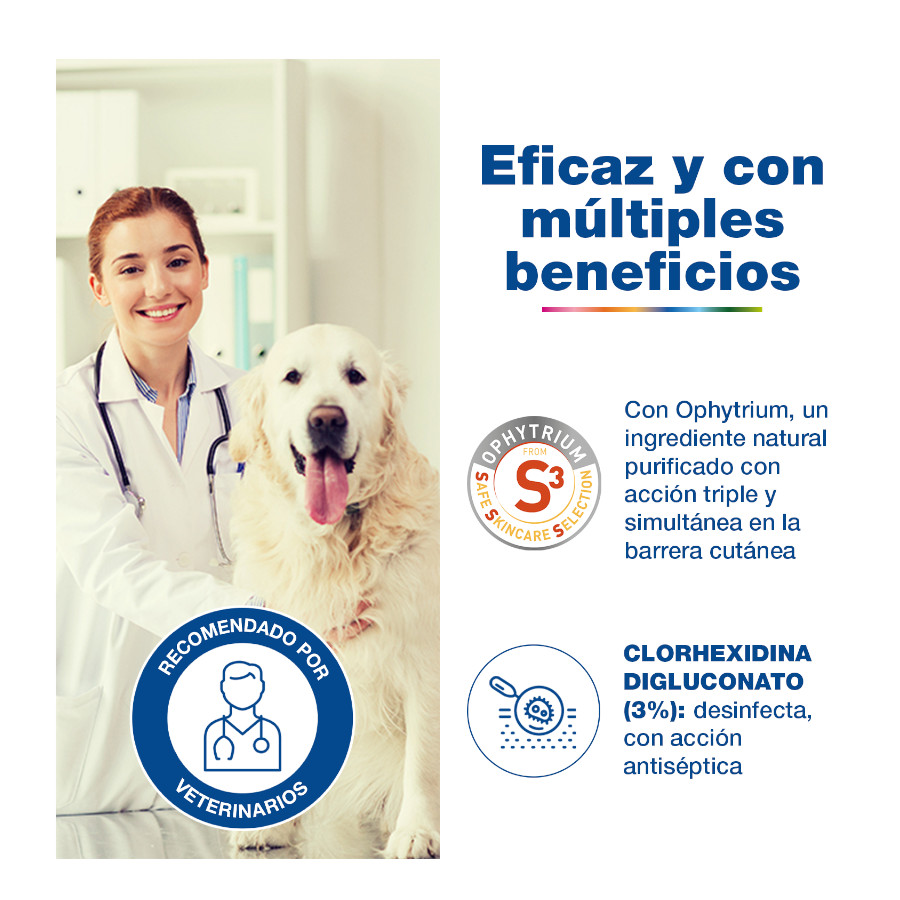 Espuma desinfetante Douxo S3 Pyo para cães e gatos.