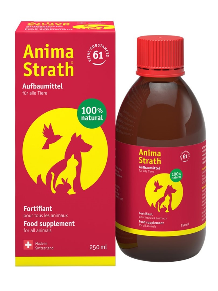 STRATH liq Fl 250 ml