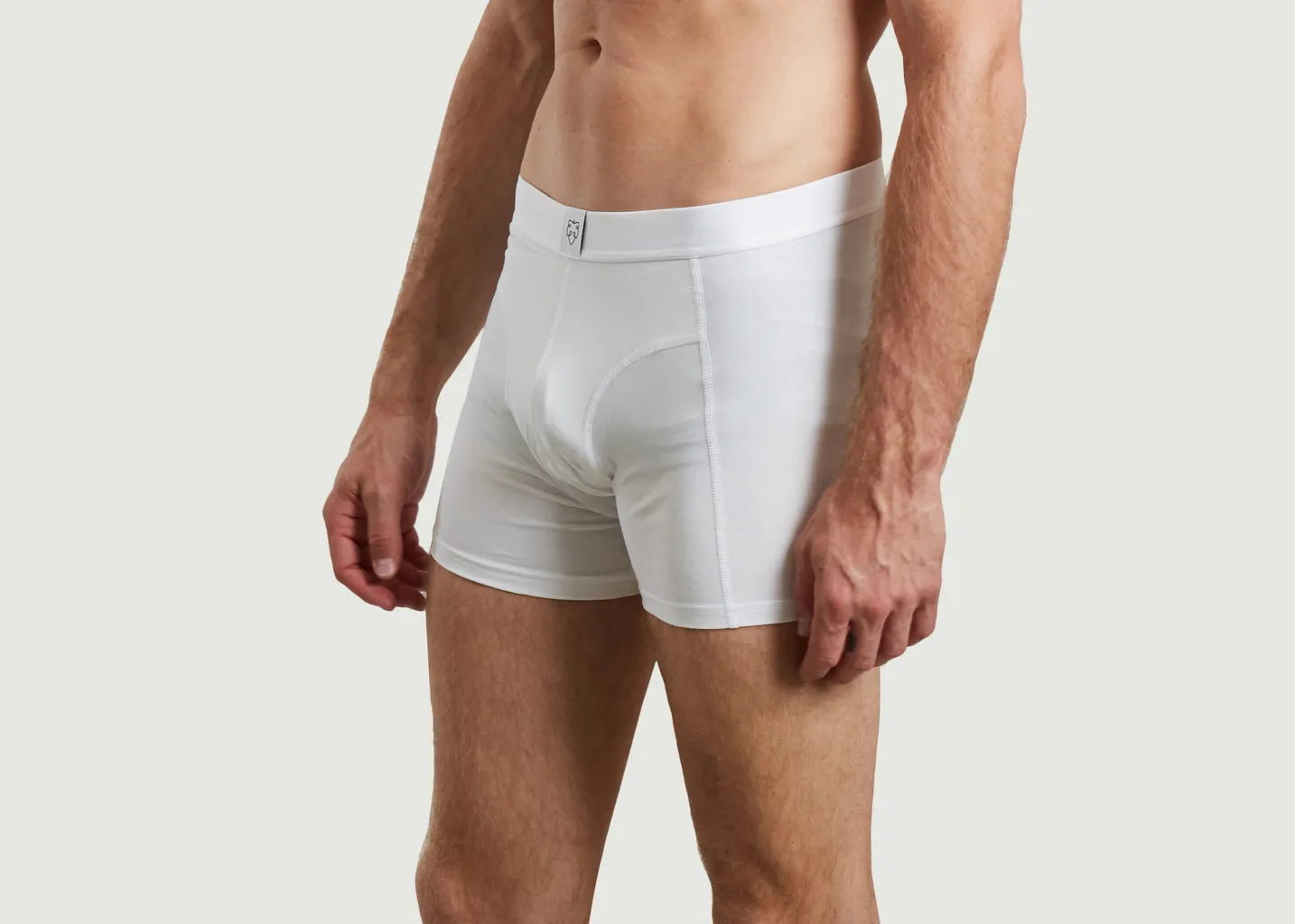 Boxer Okke A-dam