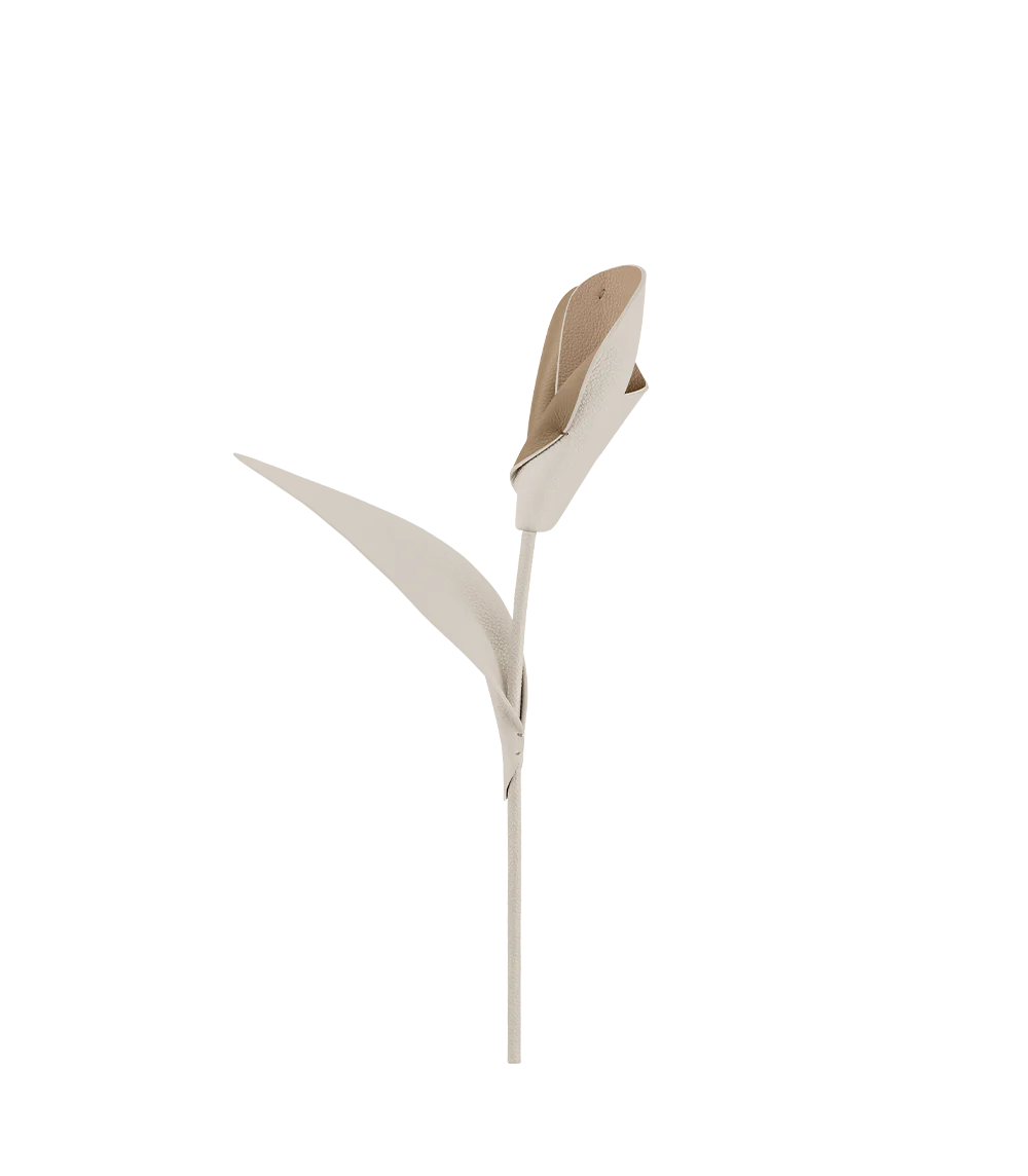 Fleur Pili - Duo Craie Grainé