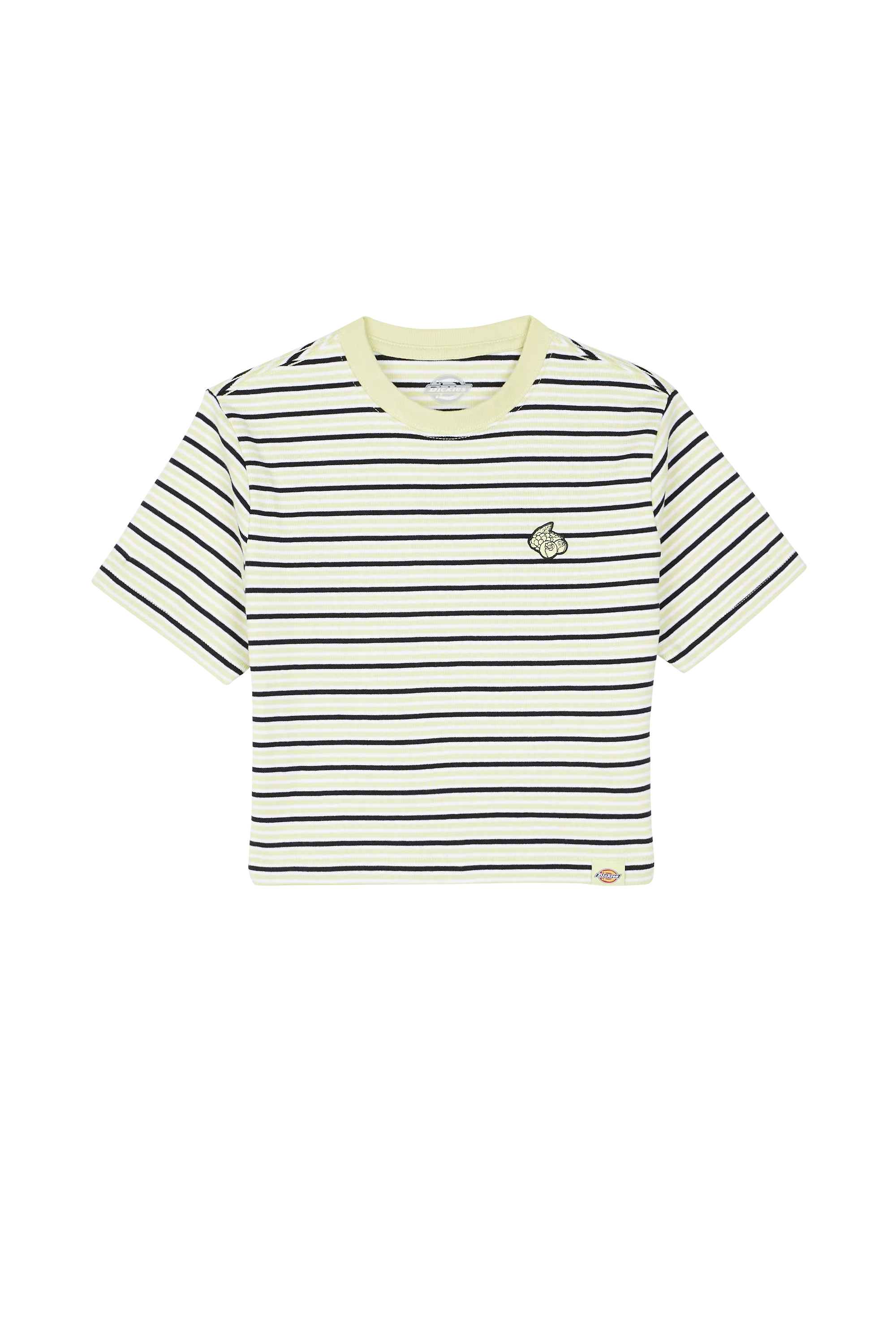 DICKIES Crop top ALTOONA STRIPE SS Vert