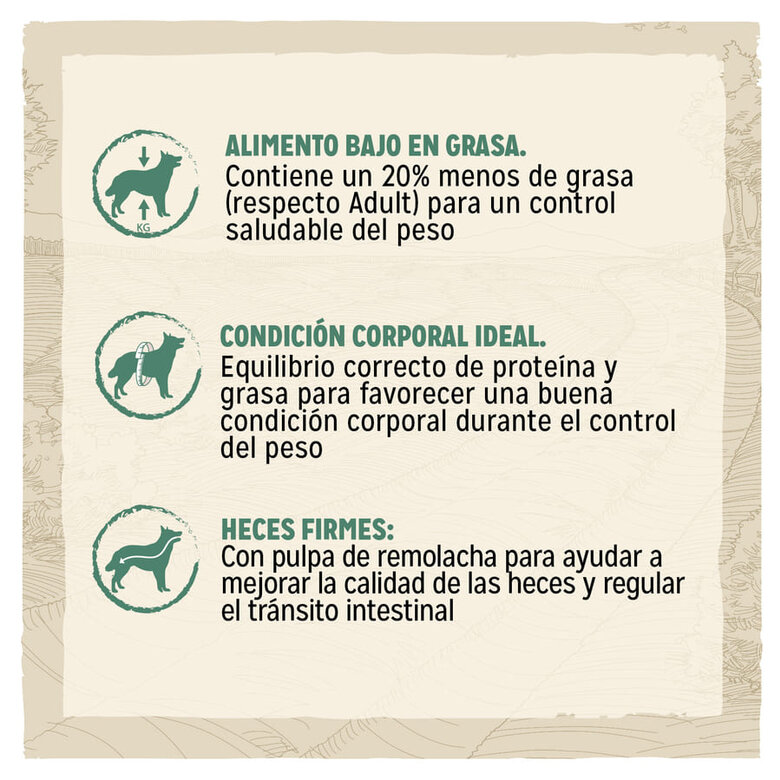 Ração para cães Dog Chow Light Turkey