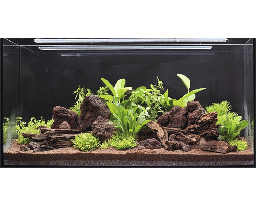 Aquarium waterplantenpakket L 