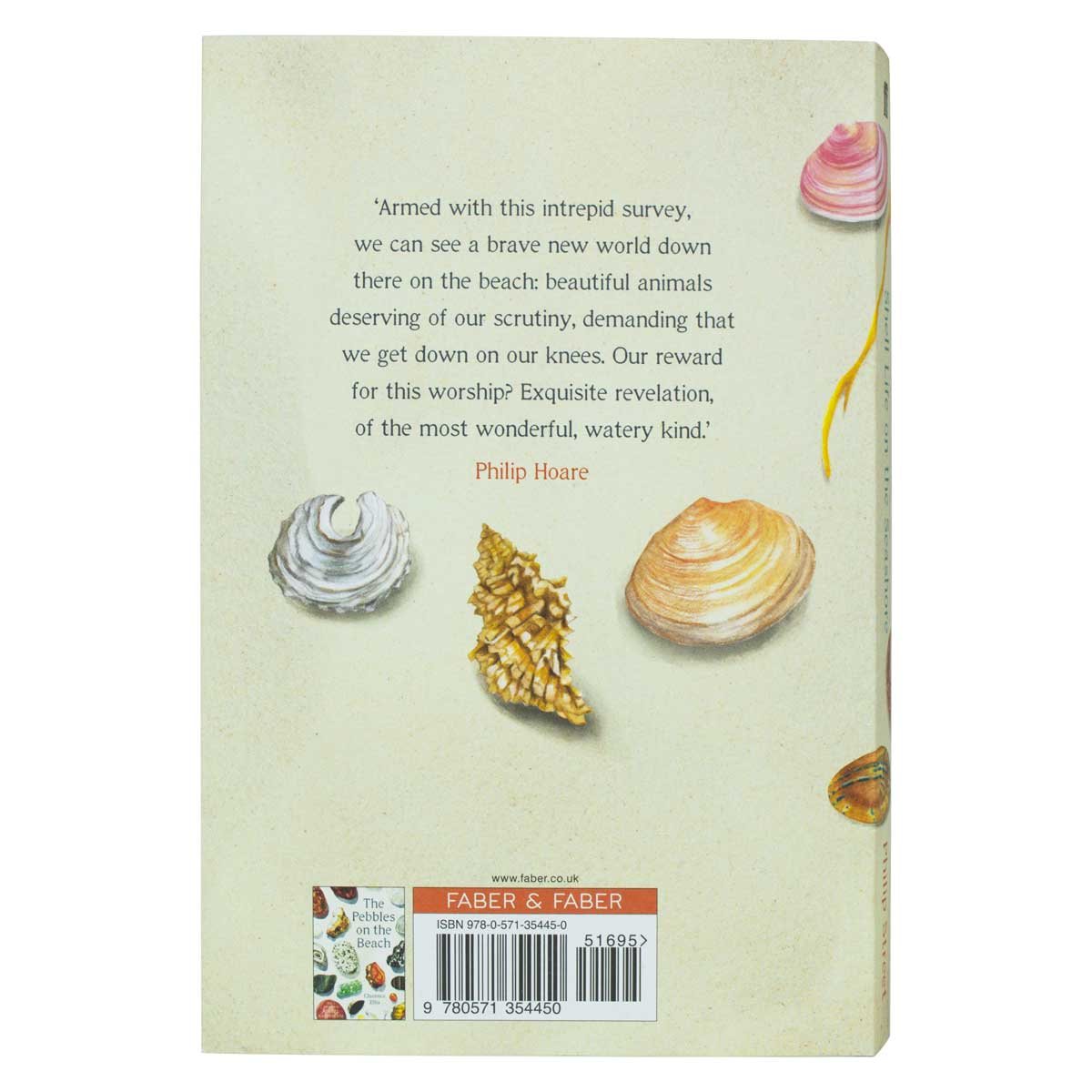 Shell Life on the Seashore (Paperback)