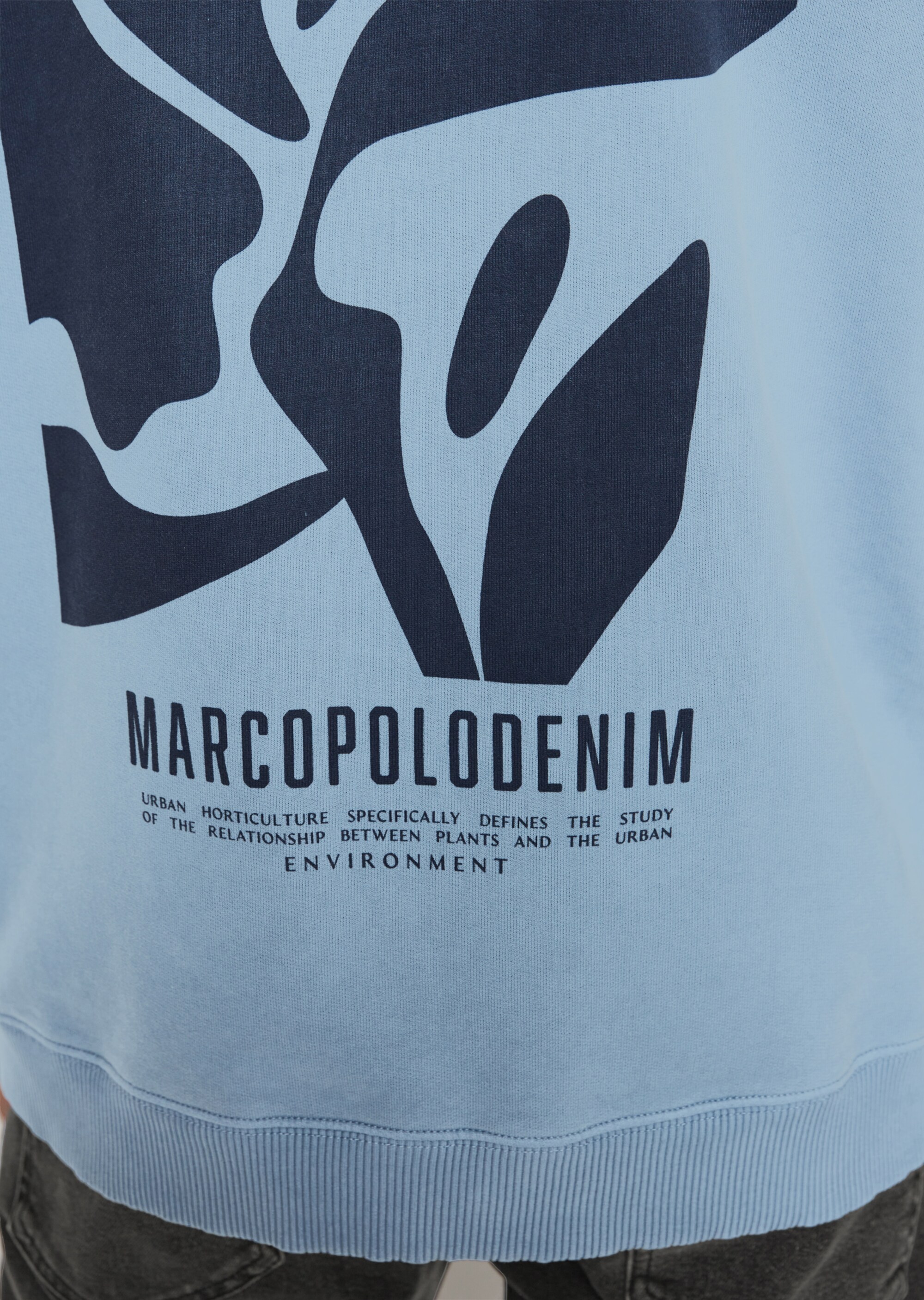 Hoodie relaxed mit großflächigem Rückenprint