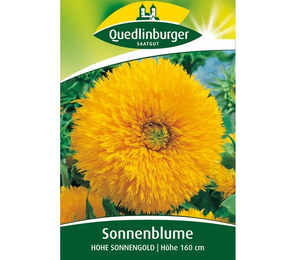 Quedlinburger Samen Sonnenblume 'Hohe