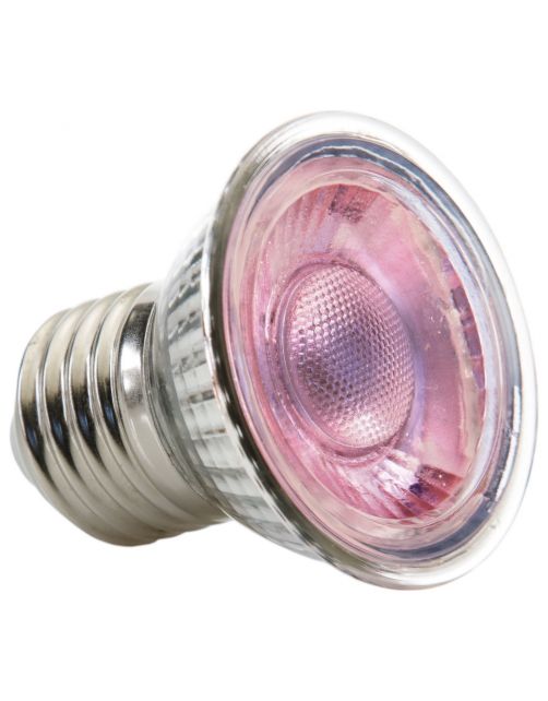 Exo Terra Daglicht Led-Spot Nano - Verlichting - 6x6x8.5 cm 5 Watt