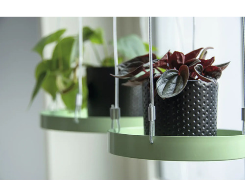 Esschert's Garden S tablethanger, Ø 14 cm, H 2 cm, metaal/kunststof, rond, groen