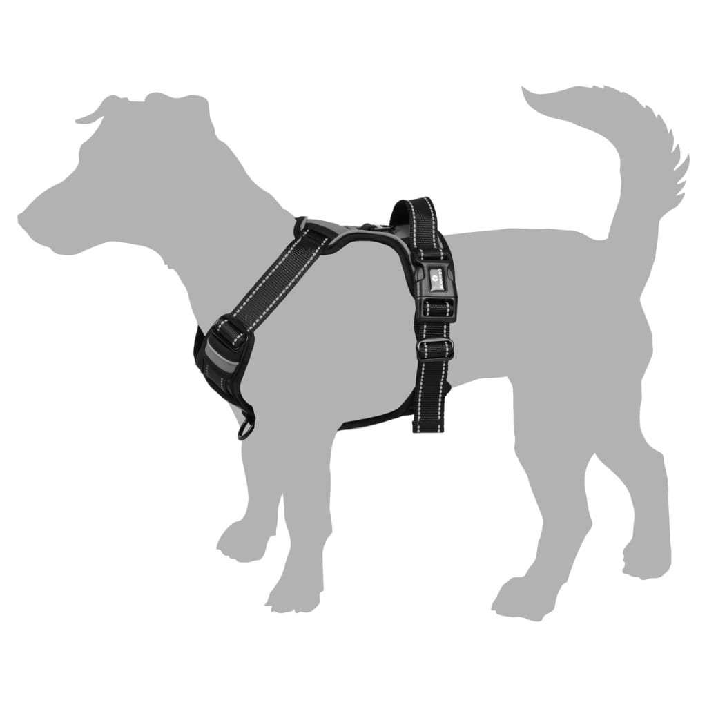 Coleira para cães
