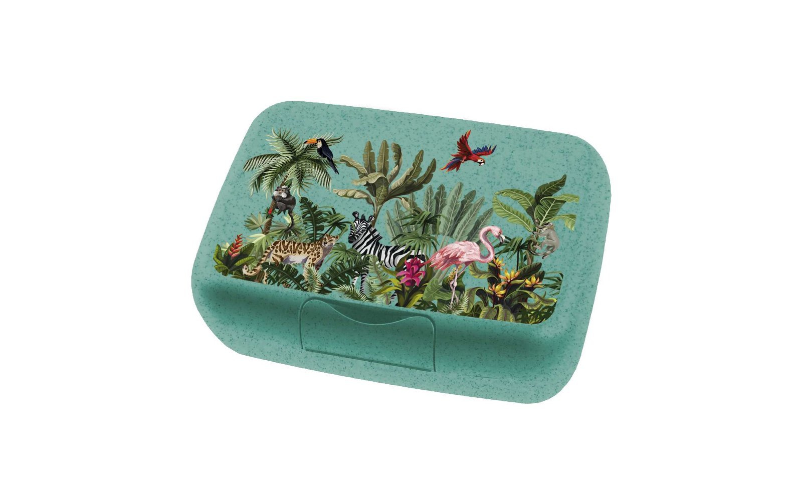 Koziol Candy L Box Lunchbox / Brotdose mit Trennschale organic moon paw patrol