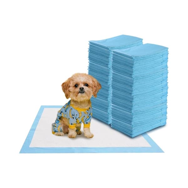 Pakke med 100 hundetreningsputer med lekkasjesikre 5-lags valpeputer 60 x 60 cm
