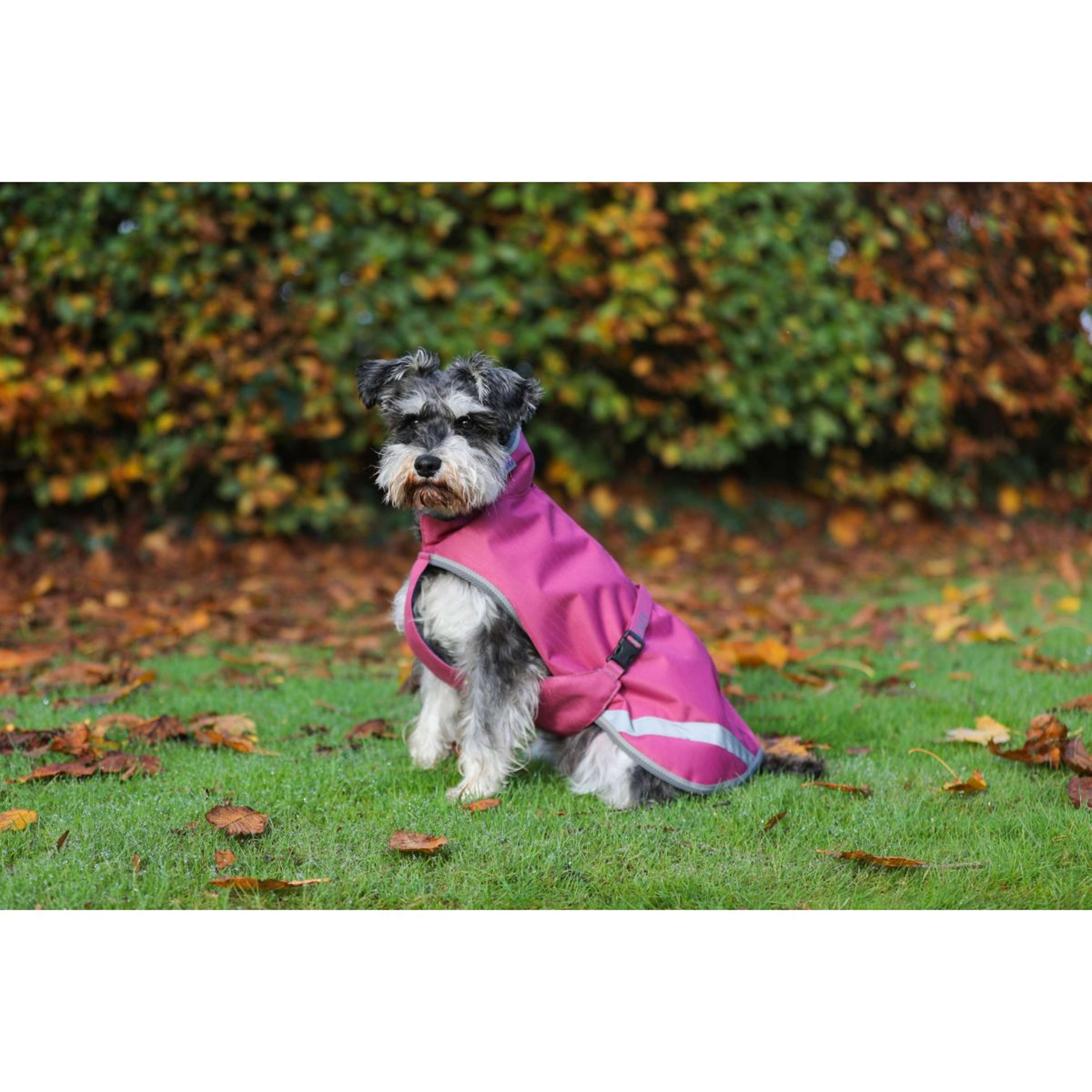 Bucas Freedom Dog Rug 50g Raspberry