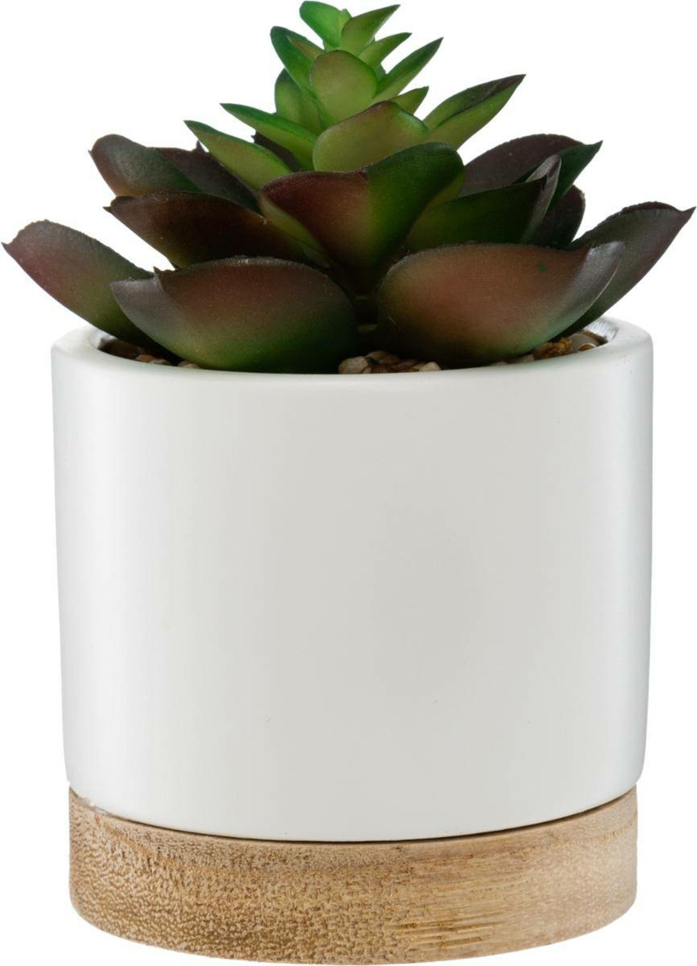 Plante artificielle succulente pot céramique et bois
