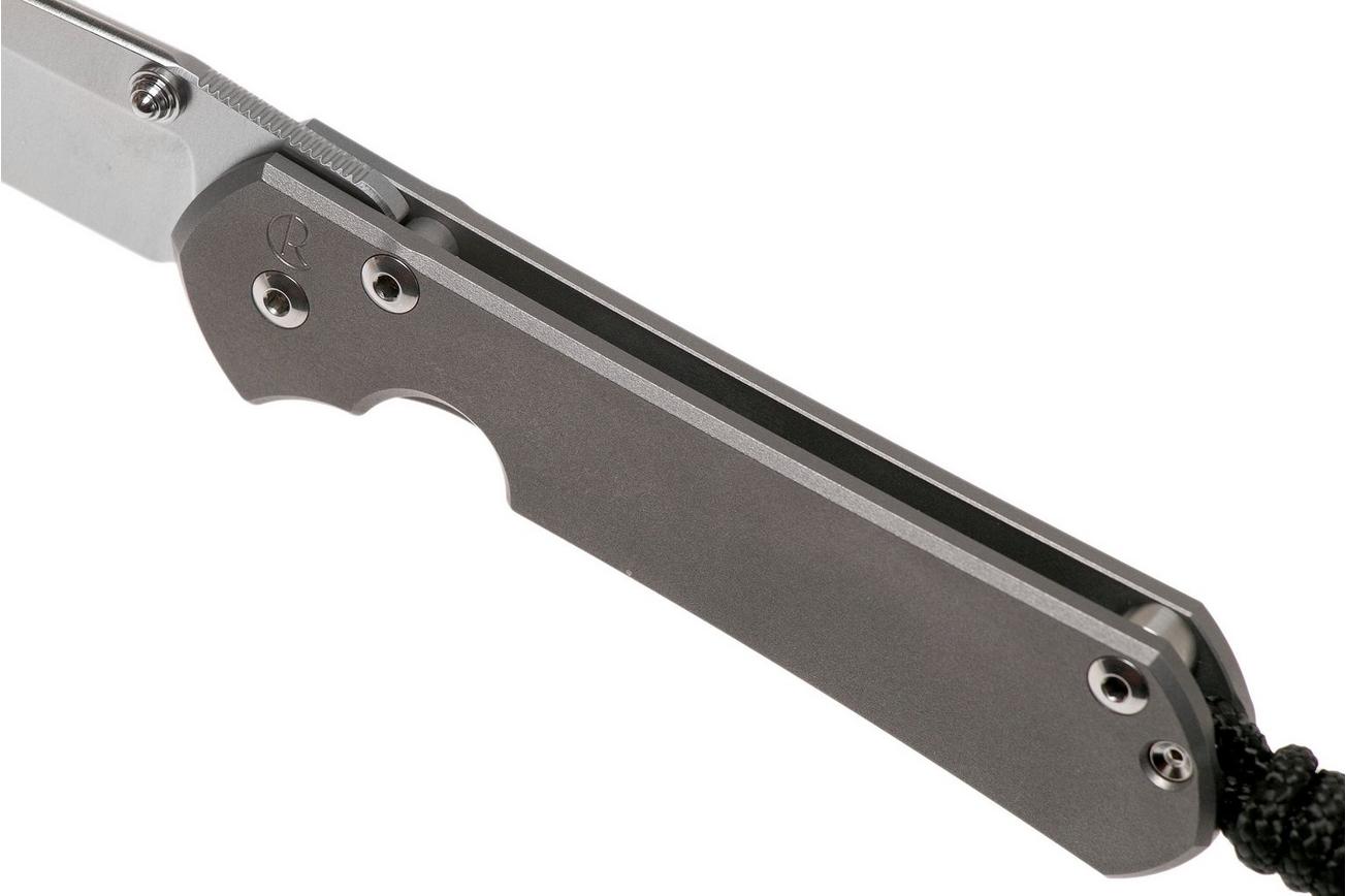 Chris Reeve Sebenza 31 Small Plain Glass Blasted Tanto S31-1687 zakmes