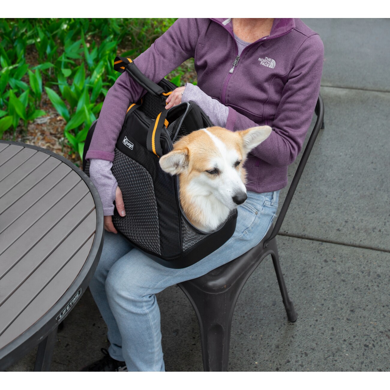 Kurgo Transporttasche für Hunde Explorer