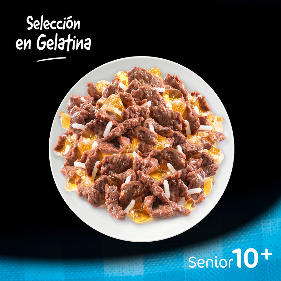 Salgadinho de carne mista Cesar em sachê para cães idosos - Pacote múltiplo