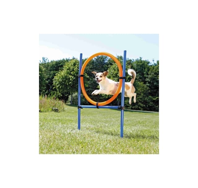 Hundeaktivitet agility ring, plastik, 115 × ø 3 cm, ø 65 cm, blå/orange, Trixie