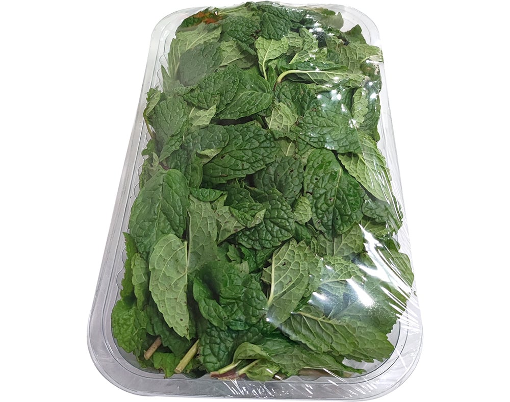HORTELÃ FRESCA 100G