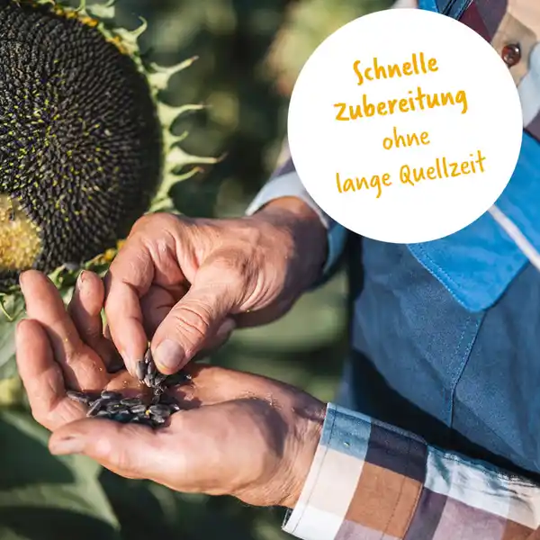 Sonnenblumenhack