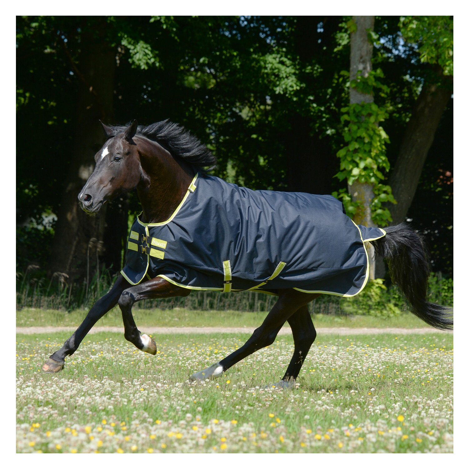 bucas Outdoordecke Oasis Turnout - darkgrey