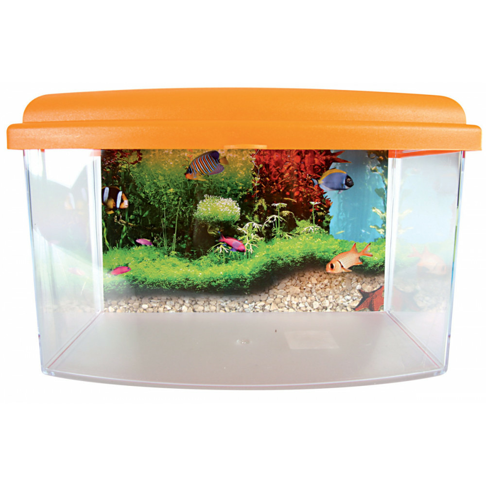 Aqua travel box ii, médium, taille 28 x 20 x h 17 cm, pour poisson couleur
