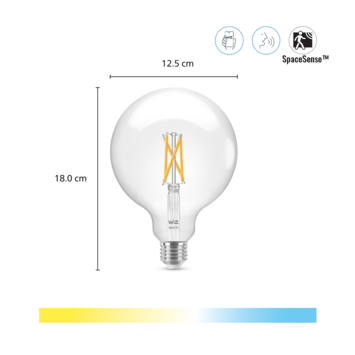 WiZ Connected LED globe E27 60W filament helder koel tot warmwit licht dimbaar
