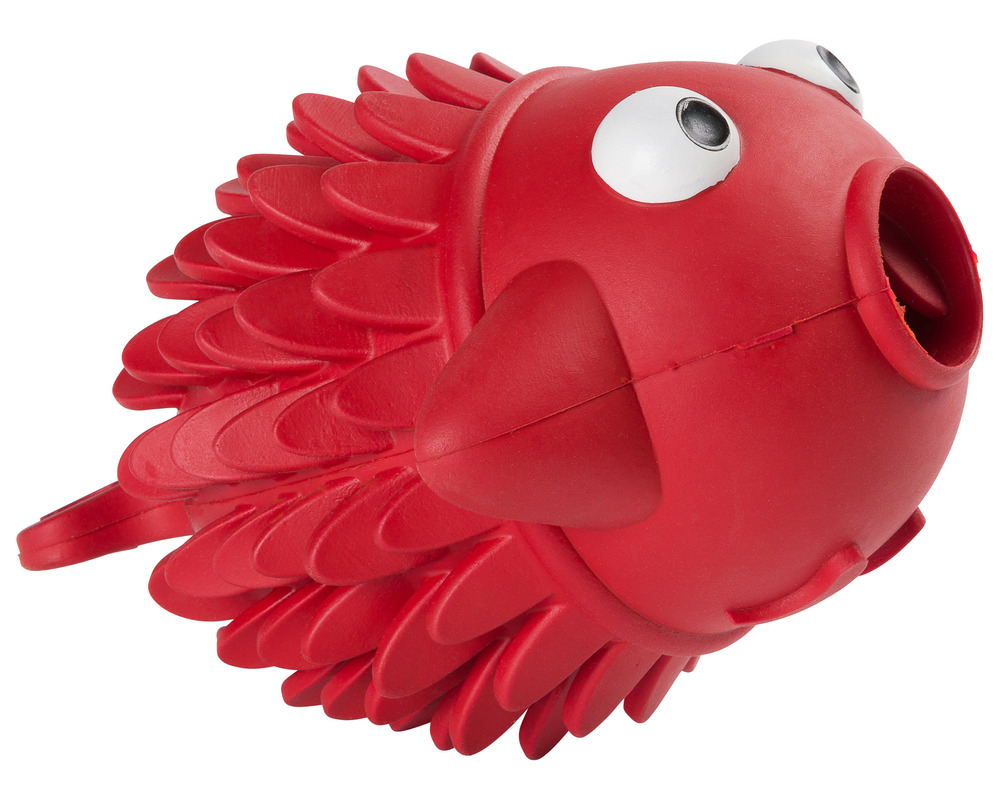 Jouet à friandises chien fish • jouets pour chiens