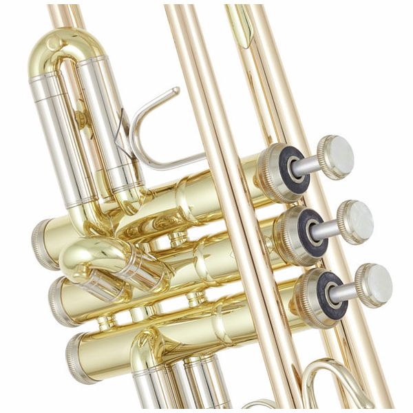 B&S 3137G-L Challenger I GM