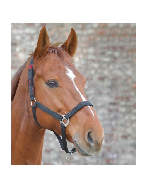 Waldhausen Veiligheidshalster Zwart&Rood - Paardenhalster