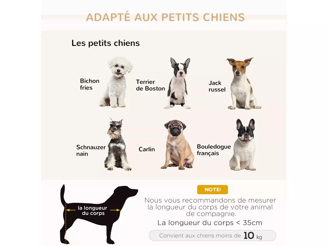 Canapé Chien Chat sur Pied avec Coffre de Rangement Style Moderne Coussin d'assise Amovible Grand Confort 76 x 45 x 41,5 cm Bleu