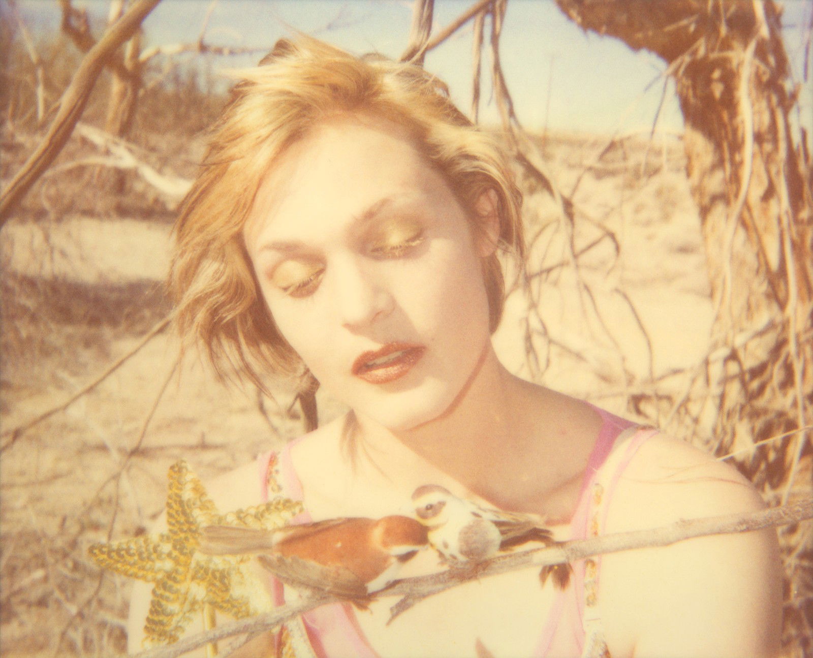 Daydream II by Stefanie Schneider - Limited Edition. Edition of: 150. Signed.