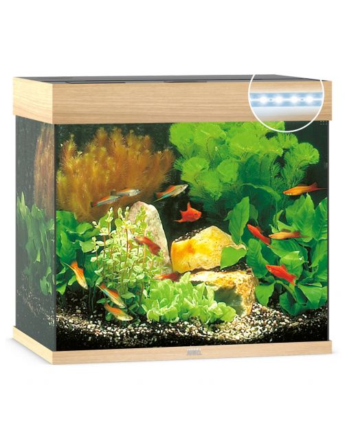 Juwel Aquarium Lido 120 Led 61x41x58 cm - Aquaria