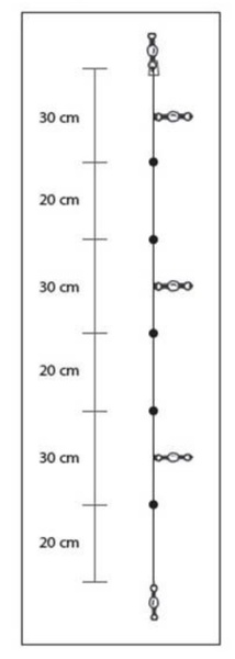 Bas de Ligne pour Calamars Asari Bajo Squid I Fluorocarbon 150cm (0.30mm)
