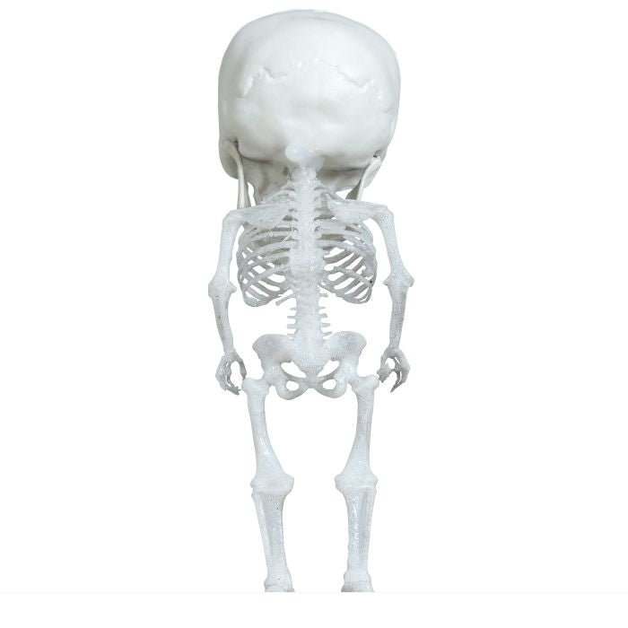 Halloween Skelet 15cm