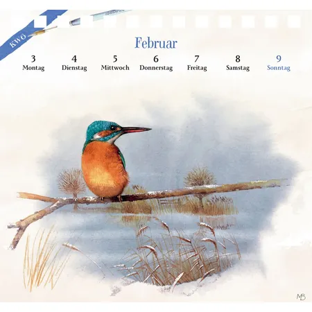 Coppenrath Verlag Postkartenkal.: Spaziergang durch die Natur 2025 - M.Bastin