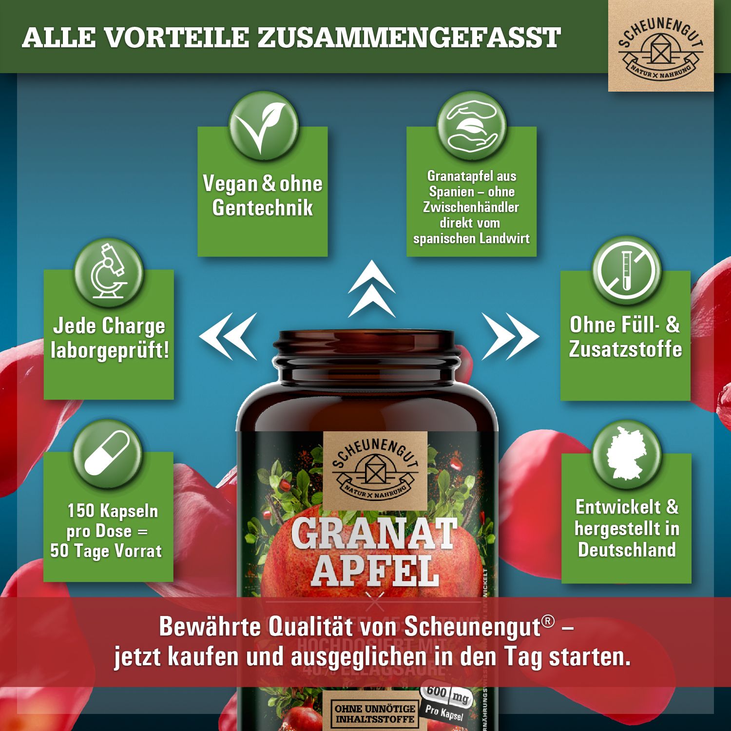 Scheunengut® Granatapfel Extrakt 45:1 | Hochdosiert mit mindestens 40% Ellagsäure & Polyphenolen