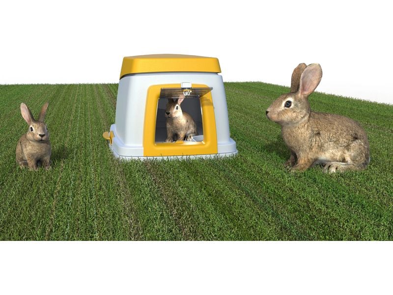 Kerbl Kaninchenbau Bunny Base Komplettset Luxuriöses Zuhause für Langohren