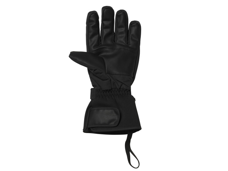 Skihandschoenen Premium