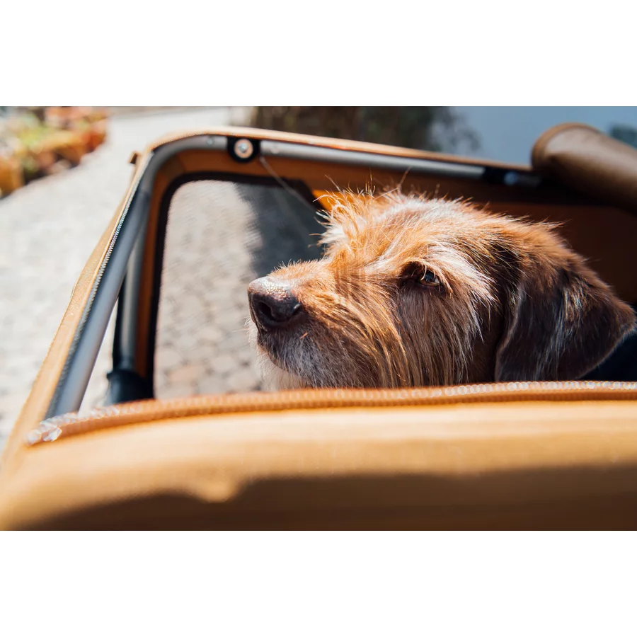 CROOZER Hundeanhänger Dog Mikke Colourful Journey