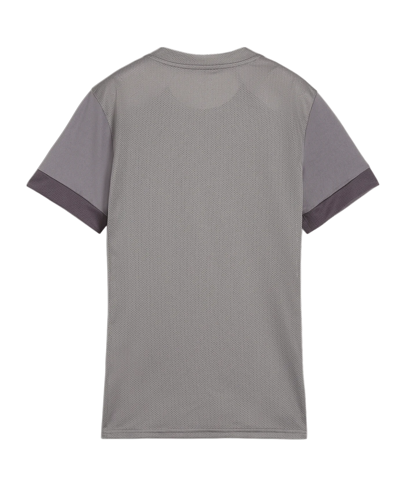 PUMA teamGOAL Matchday Trikot Damen Grau Weiss F13