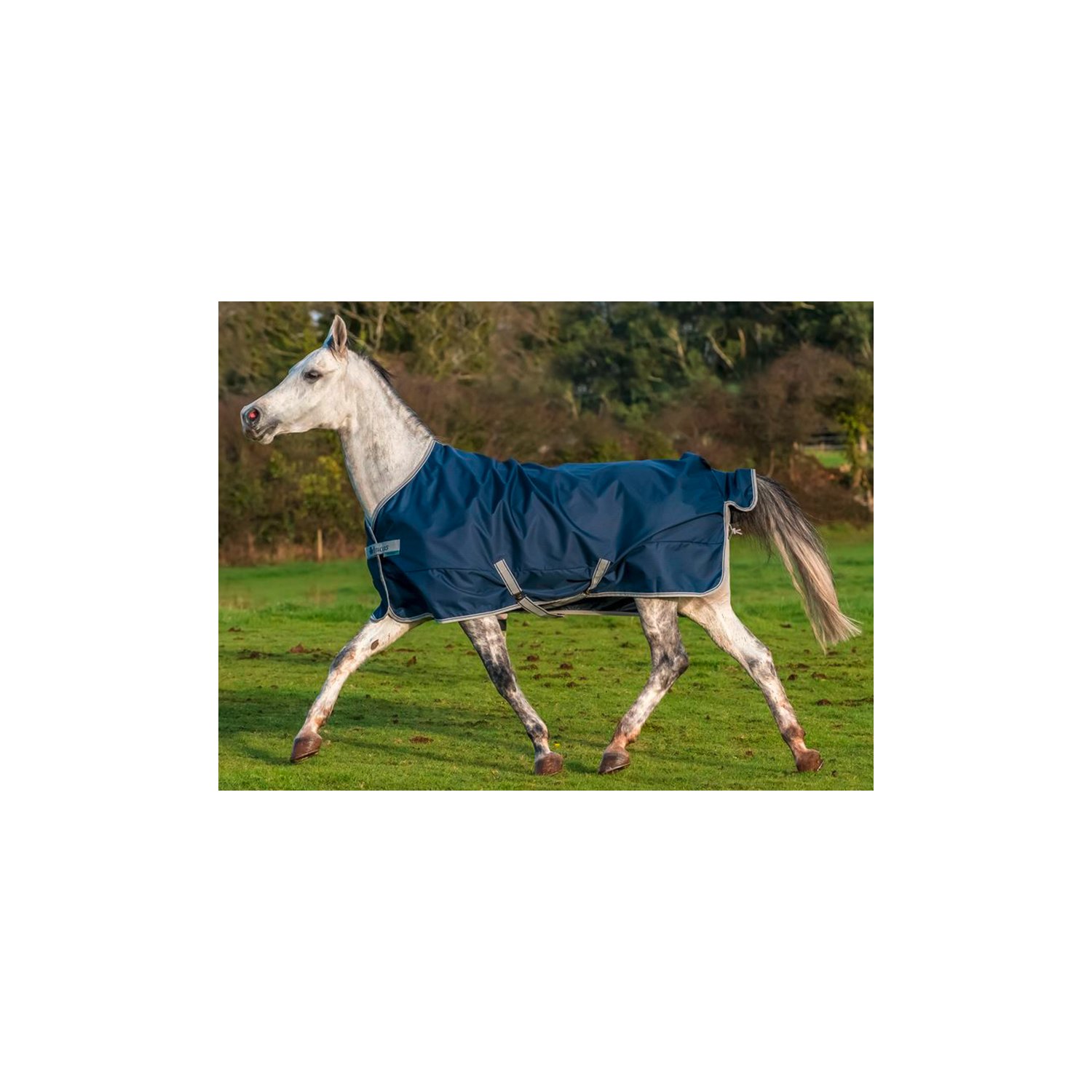 bucas Outdoordecke Freedom Turnout Light Pony  - navy