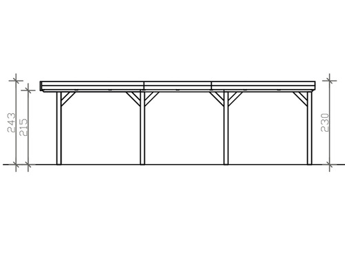 SKAN enkele carport, hout, Grunewald, 321 x 796 cm, natuurlijke afwerking