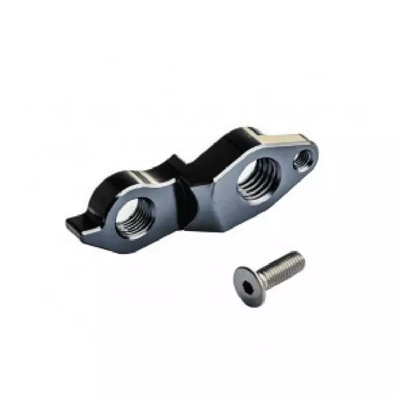 DARTMOOR Derailleur hanger for Roots/Wish 2015, CNC, alu, grey