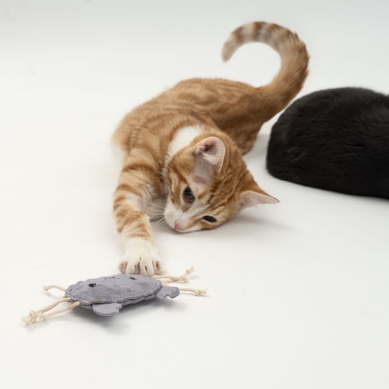Lot de jouets TIAKI Ocean Gang avec menthe à chat