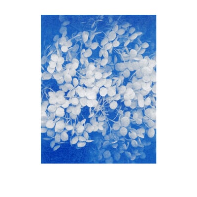 Postkarten-Set Riso, Blumen