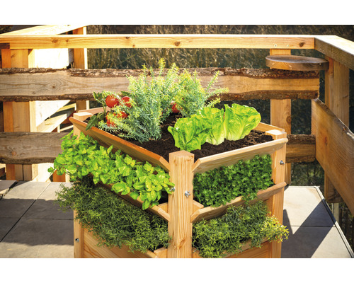 Premium verhoogde tuinbak WESTMANN maat L 65 x 65 x 73 cm naturel